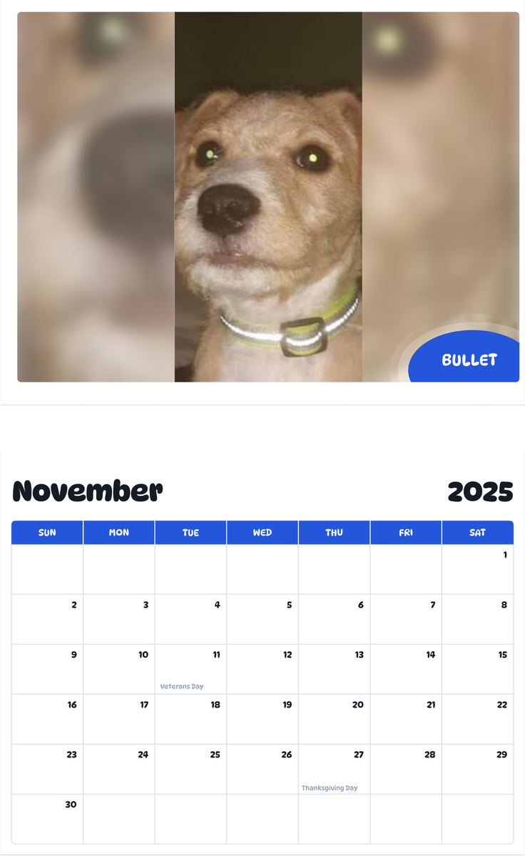 July 2025 - June 2026 Bullet - Pawidols Pet Calendar