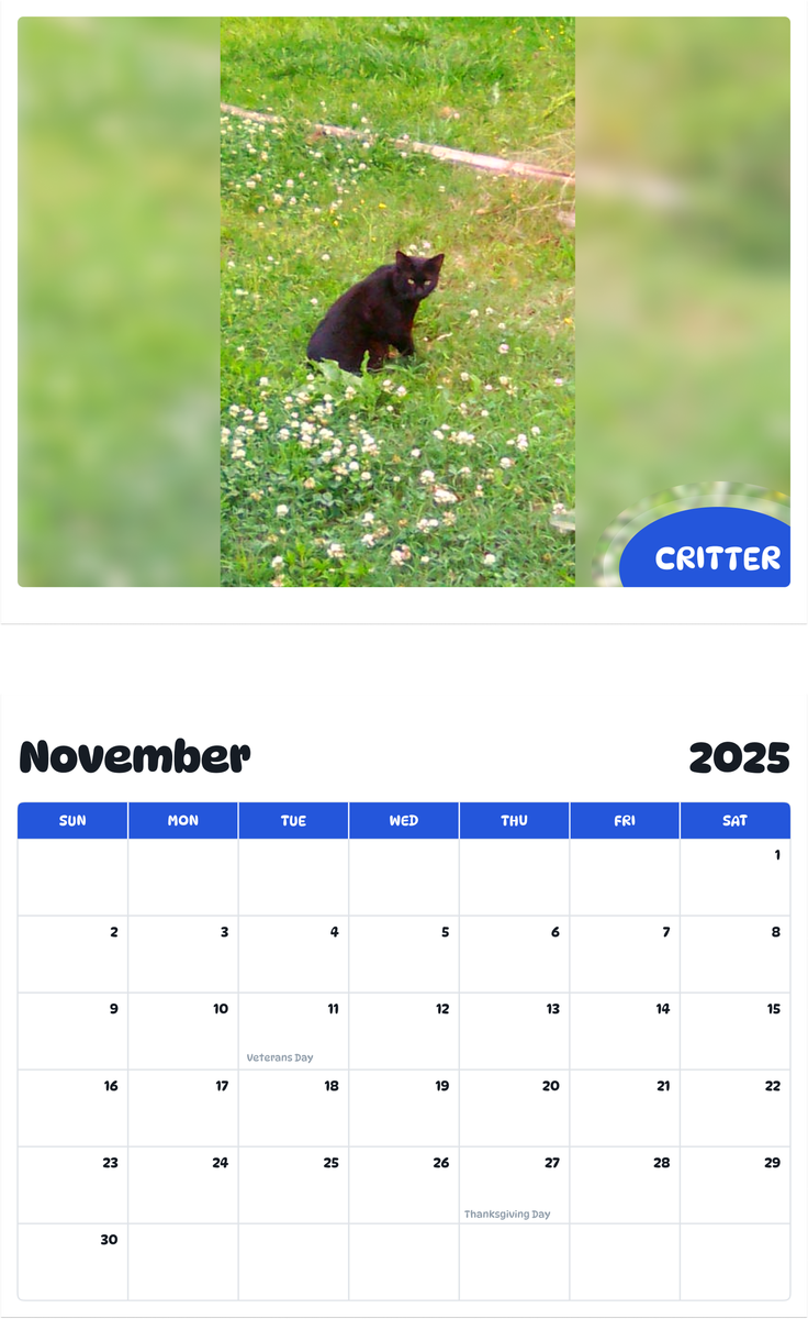July 2025 - June 2026 Critter - Pawidols Pet Calendar