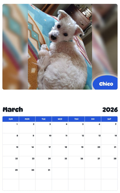 November 2025 - October 2026 Chico - Pawidols Pet Calendar
