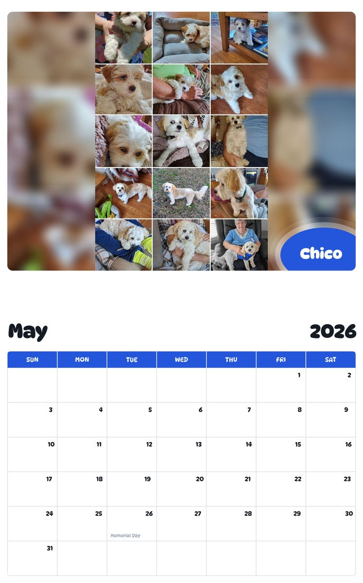 2026 - 2027 Chico - Pawidols Pet Calendar