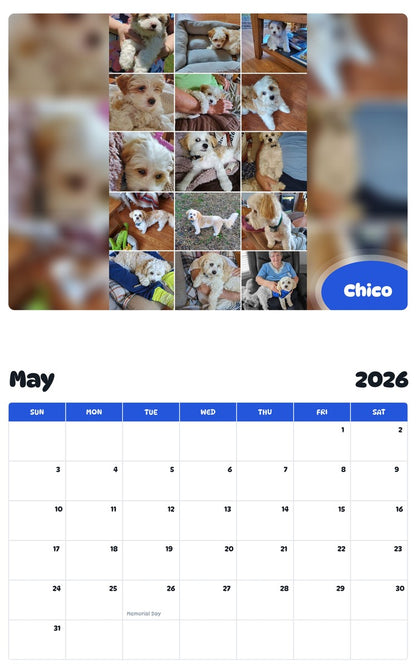 2026 - 2027 Chico - Pawidols Pet Calendar