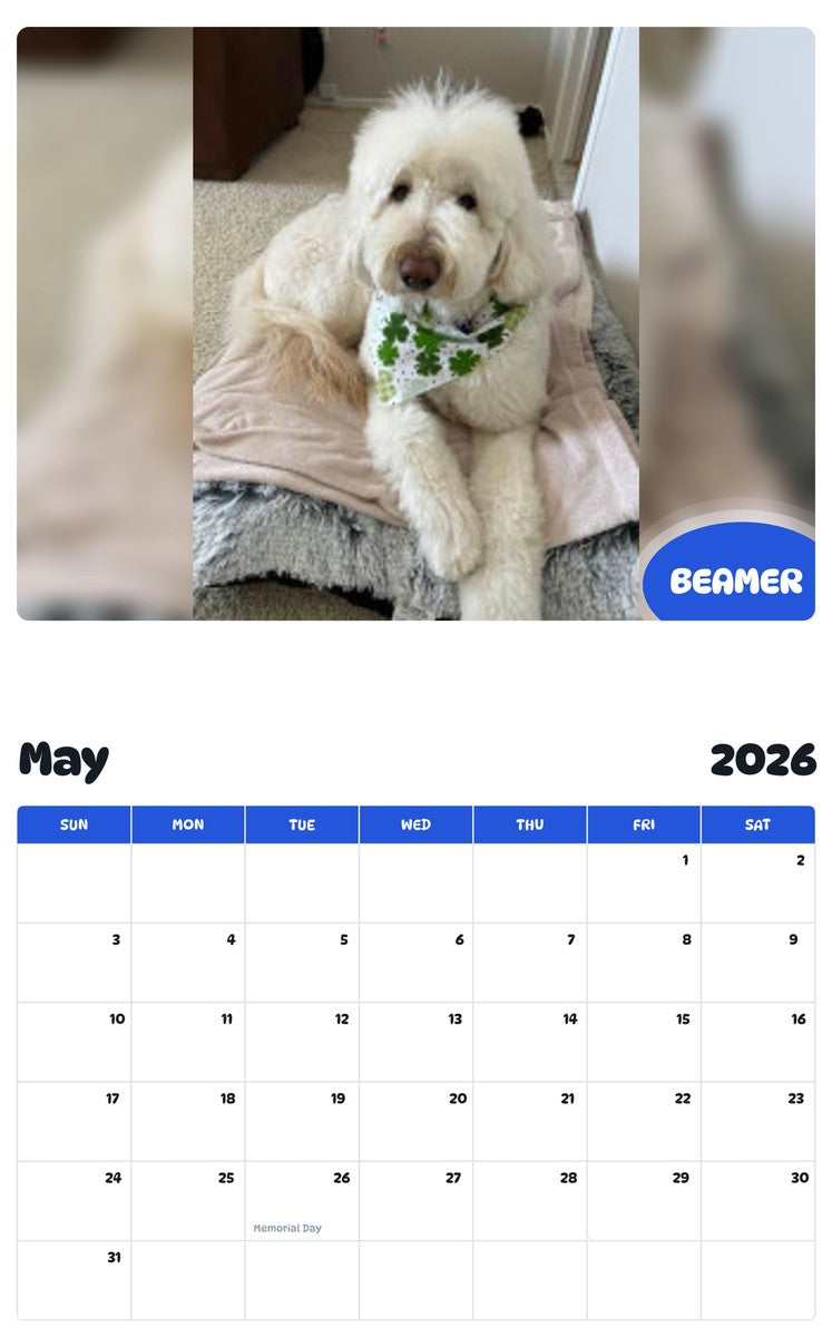 2026 - 2027 BEAMER - Pawidols Pet Calendar