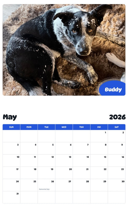 2026 - 2027 Buddy - Pawidols Pet Calendar