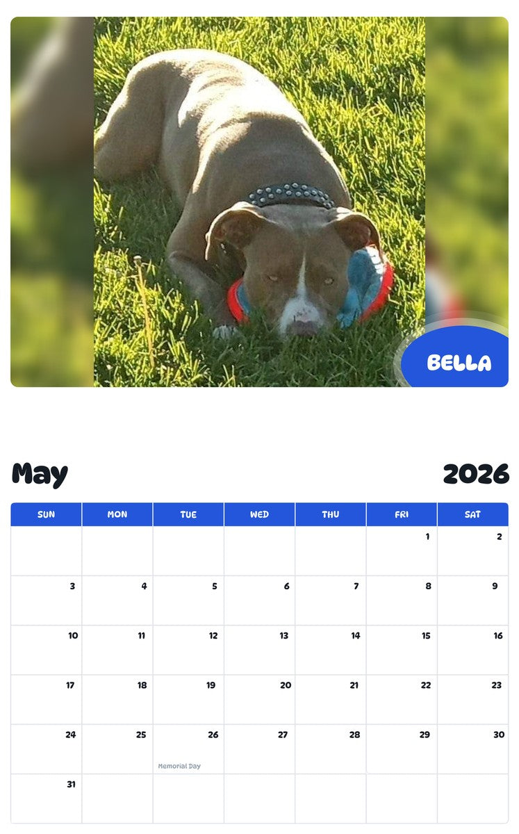 2026 - 2027 BELLA - Pawidols Pet Calendar