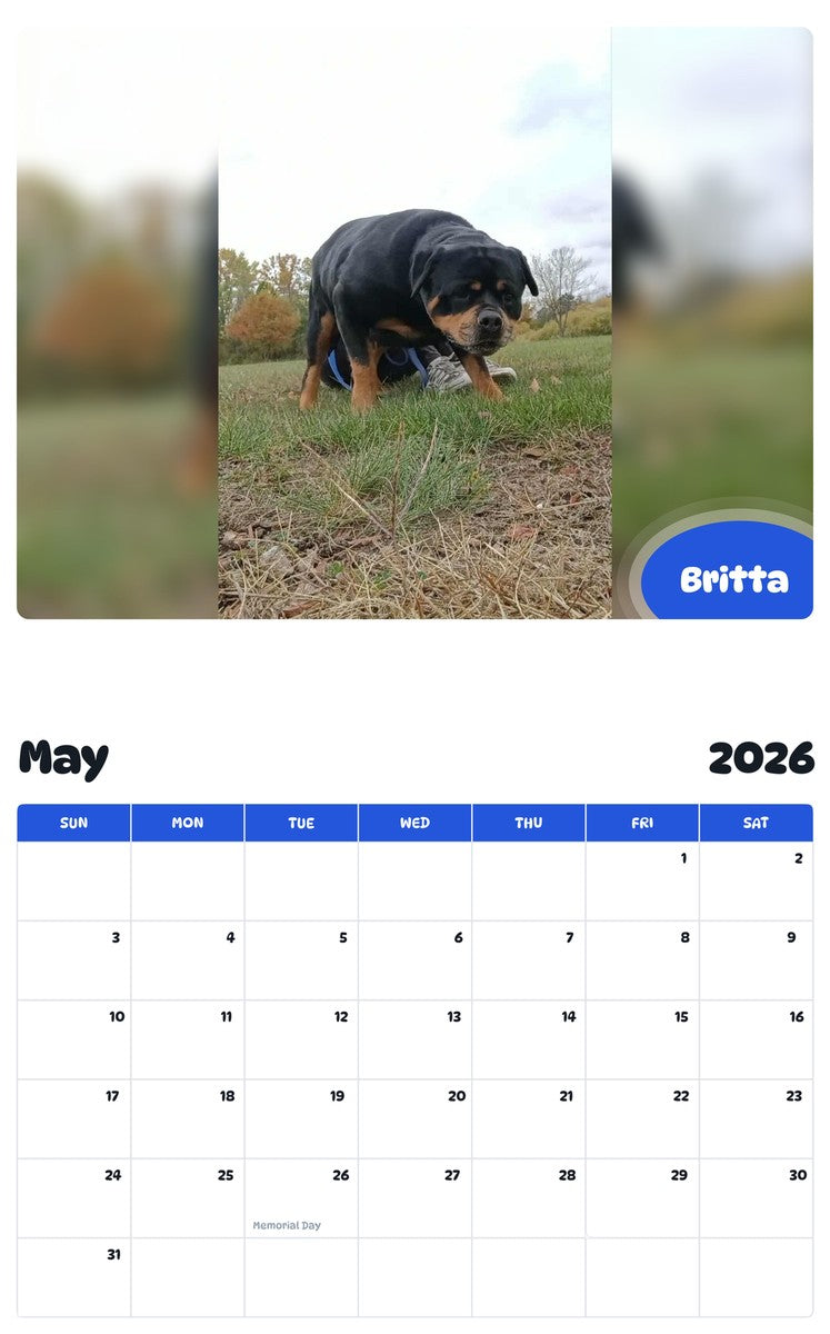 2026 - 2027 Britta - Pawidols Pet Calendar