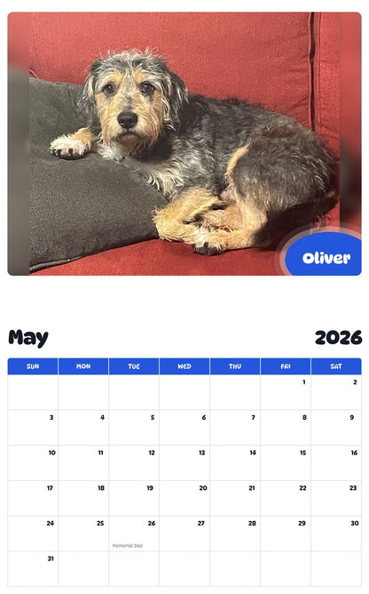 2026 - 2027 Oliver - Pawidols Pet Calendar