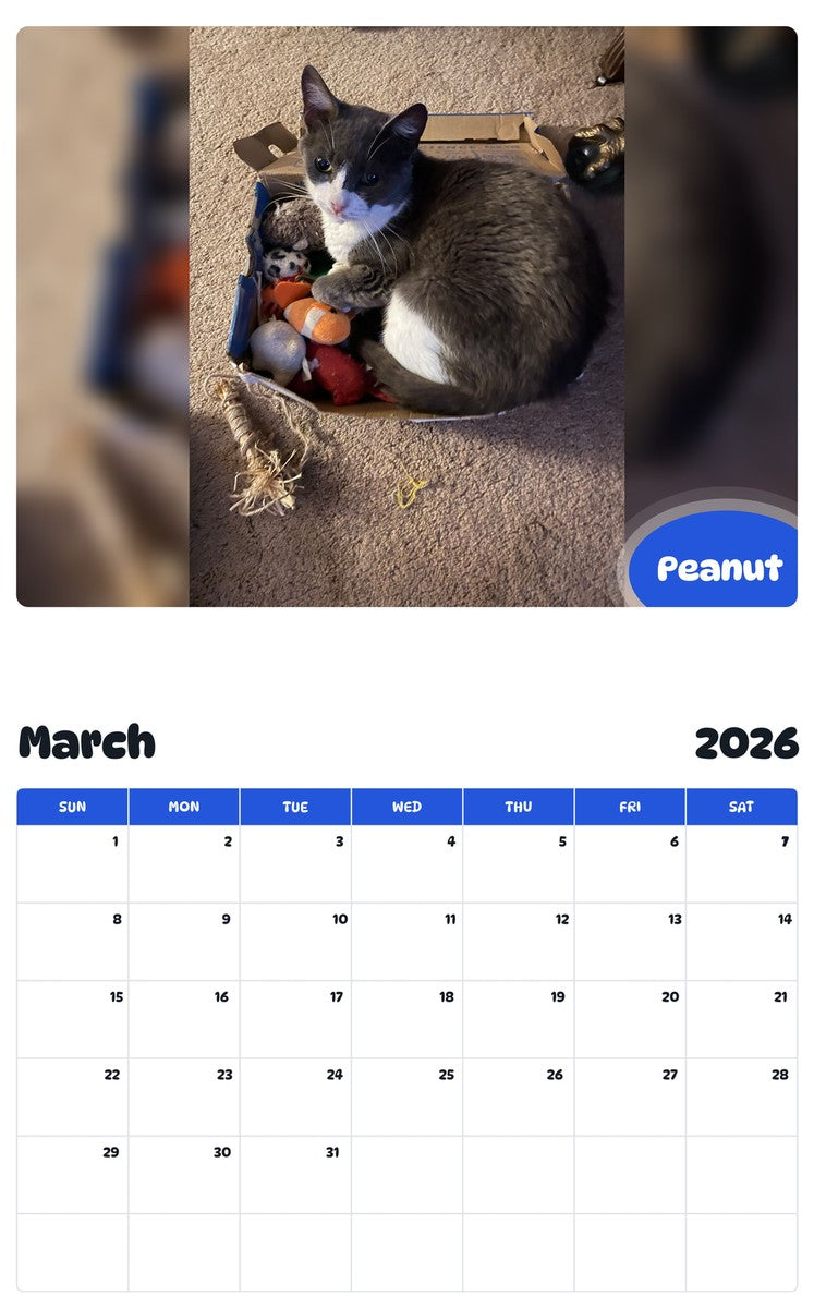 November 2025 - October 2026 Peanut - Pawidols Pet Calendar