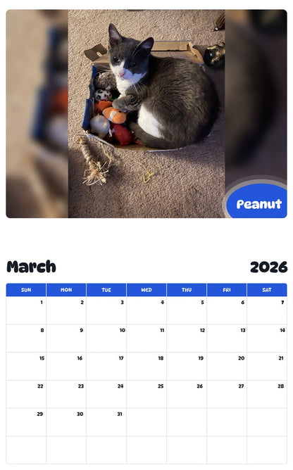November 2025 - October 2026 Peanut - Pawidols Pet Calendar
