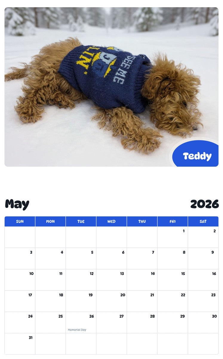 2026 - 2027 Teddy - Pawidols Pet Calendar