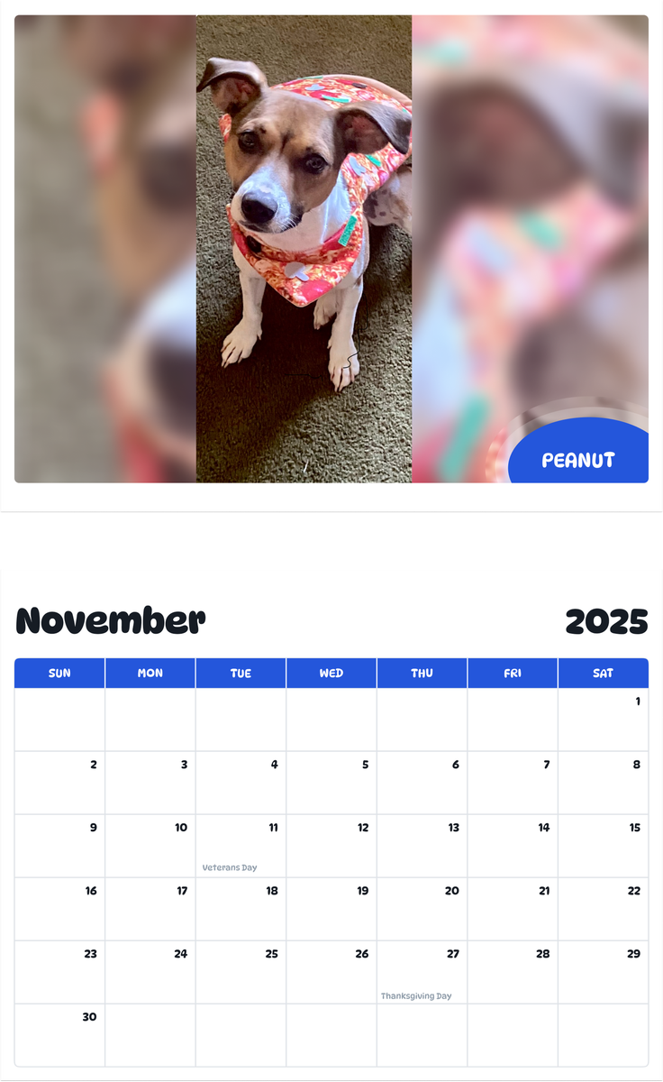 July 2025 - June 2026 Peanut - Pawidols Pet Calendar
