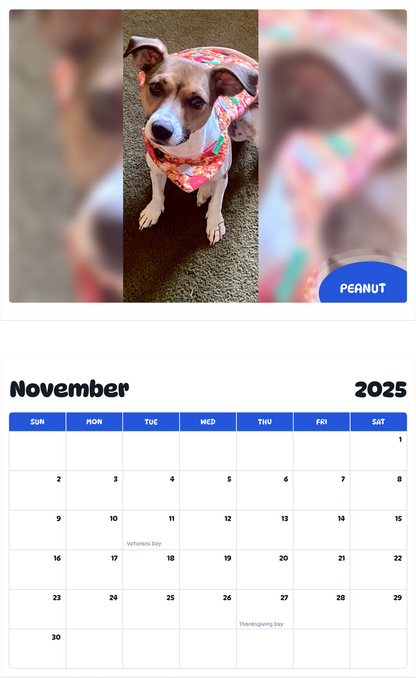 July 2025 - June 2026 Peanut - Pawidols Pet Calendar