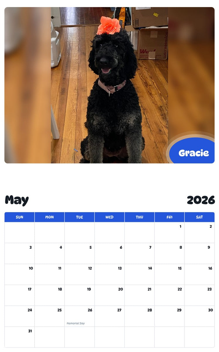 2026 - 2027 Gracie - Pawidols Pet Calendar