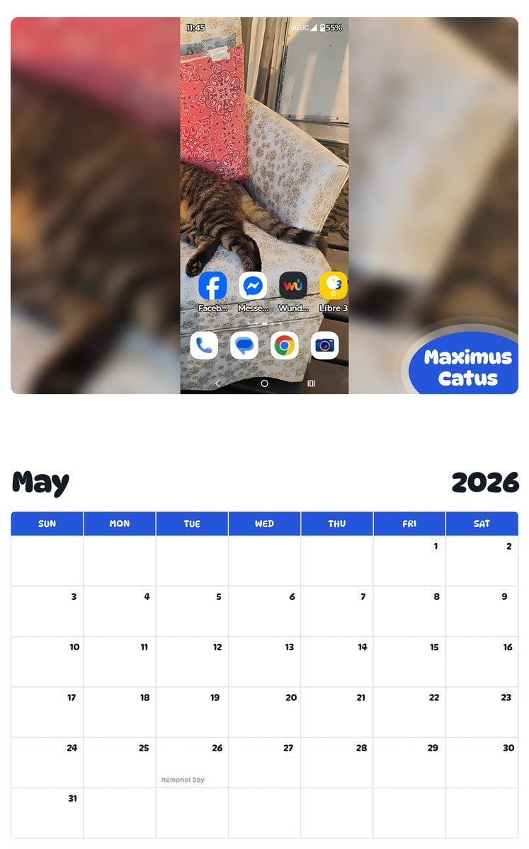 2026 - 2027 Maximus Catus - Pawidols Pet Calendar