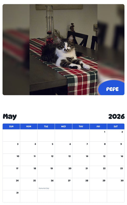 2026 - 2027 PEPE - Pawidols Pet Calendar
