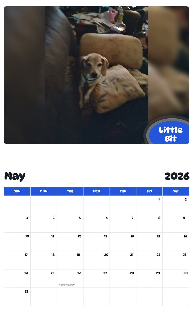 2026 - 2027 Little Bit - Pawidols Pet Calendar