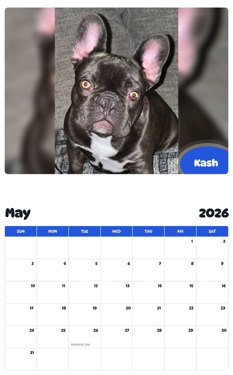 2026 - 2027 Kash - Pawidols Pet Calendar