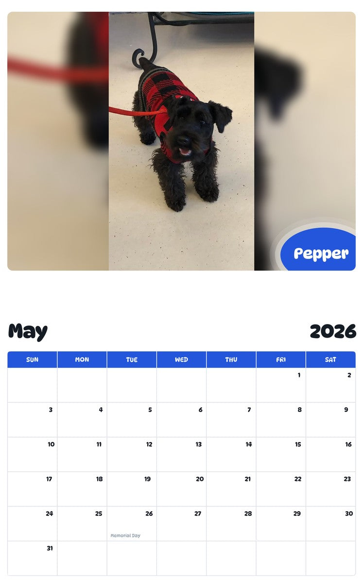 2026 - 2027 Pepper - Pawidols Pet Calendar