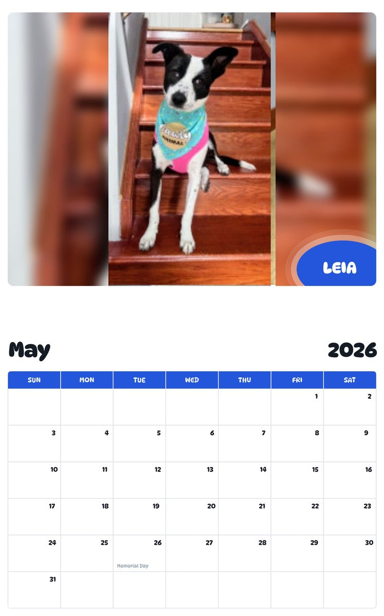 2026 - 2027 LEIA - Pawidols Pet Calendar