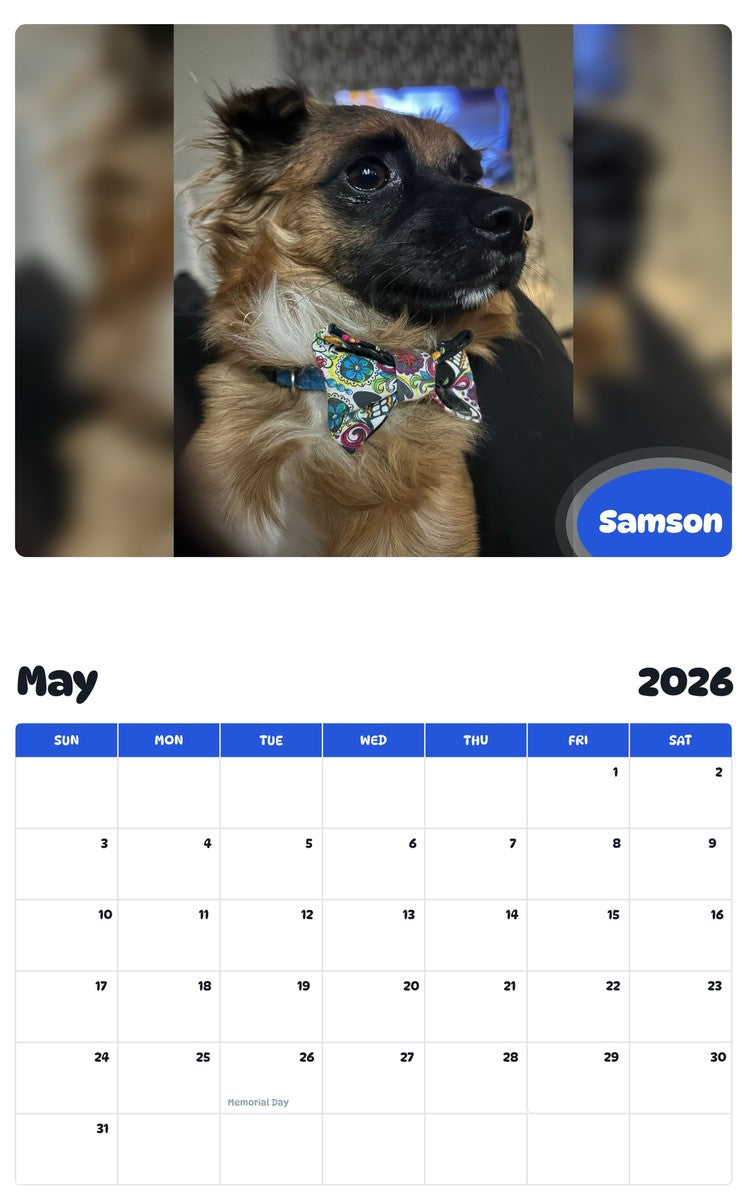 2026 - 2027 Samson - Pawidols Pet Calendar
