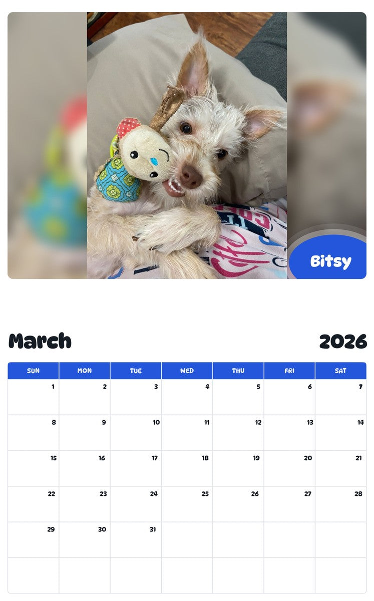 November 2025 - October 2026 Bitsy - Pawidols Pet Calendar