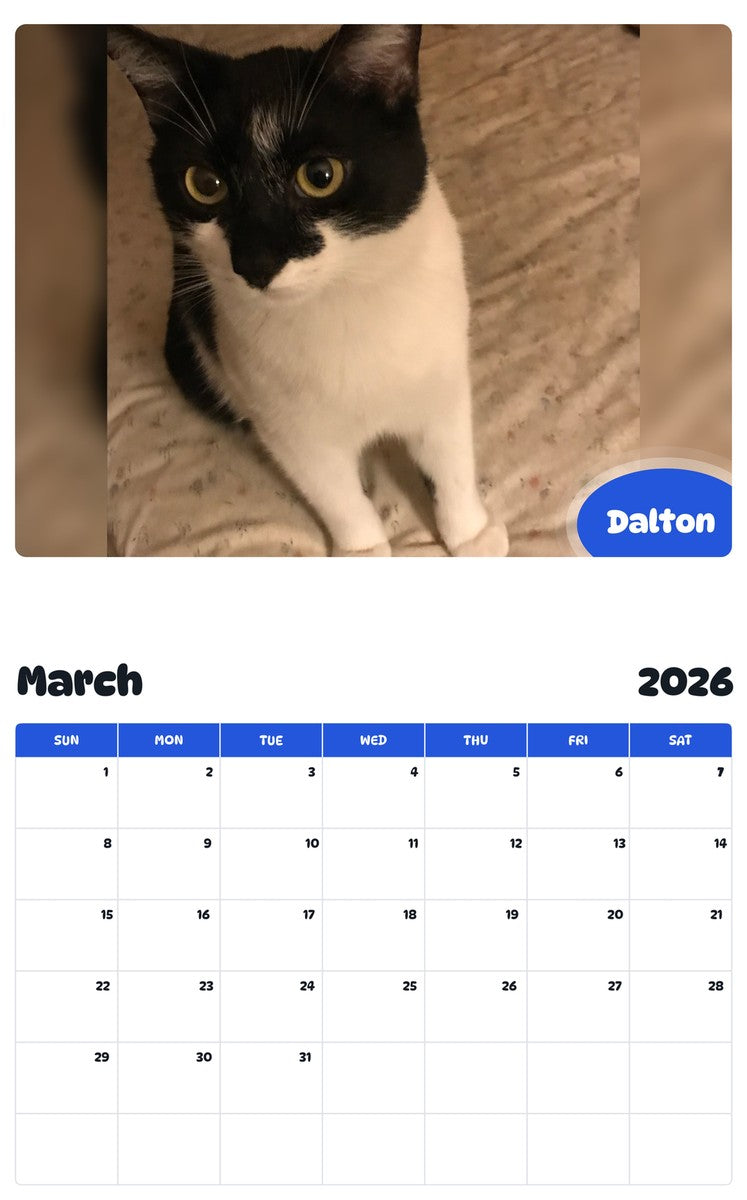November 2025 - October 2026 Dalton - Pawidols Pet Calendar