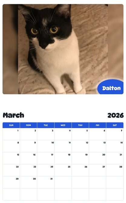 November 2025 - October 2026 Dalton - Pawidols Pet Calendar