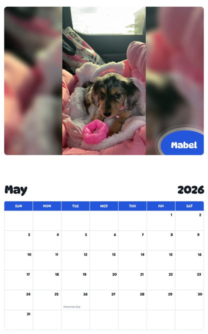 2026 - 2027 Mabel - Pawidols Pet Calendar