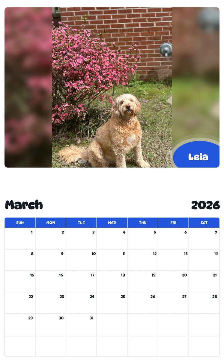 November 2025 - October 2026 Leia - Pawidols Pet Calendar