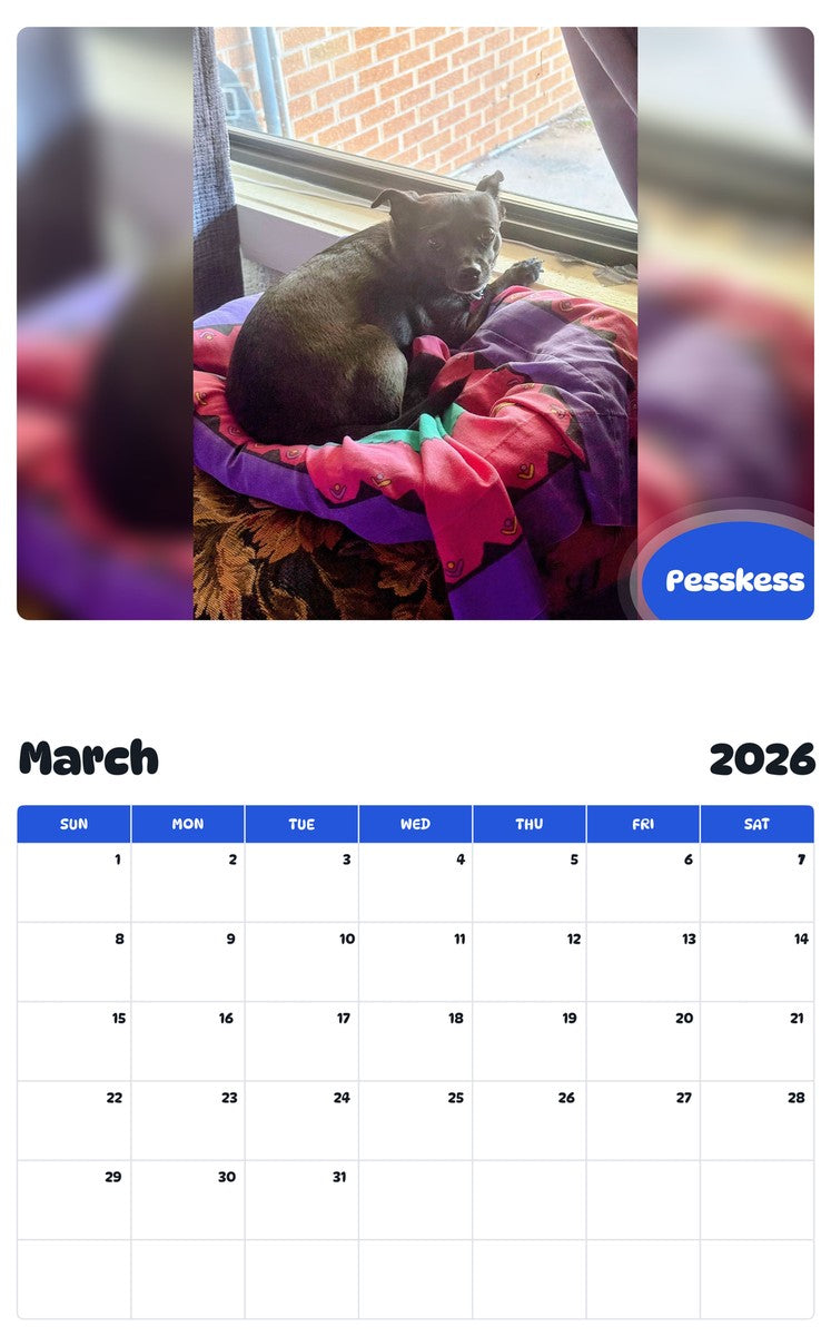 November 2025 - October 2026 Pesskess - Pawidols Pet Calendar
