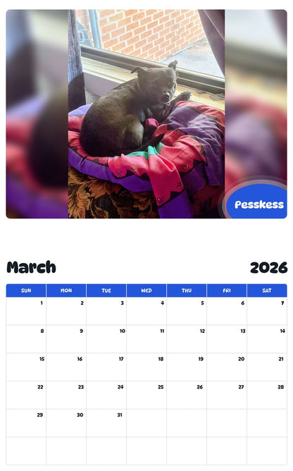 November 2025 - October 2026 Pesskess - Pawidols Pet Calendar
