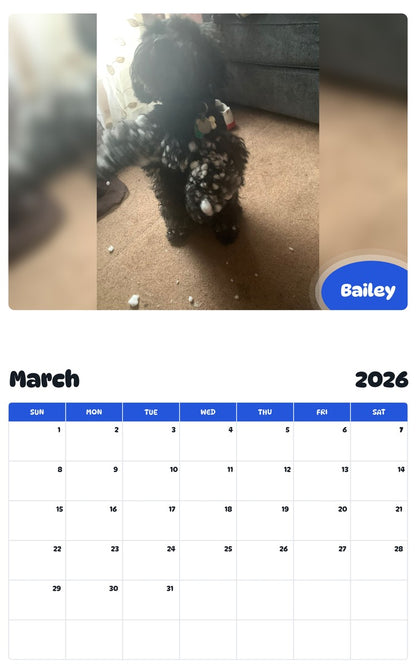 November 2025 - October 2026 Bailey - Pawidols Pet Calendar