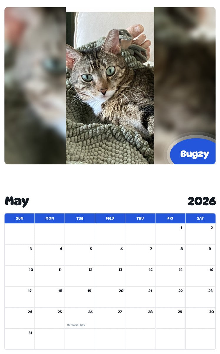 2026 - 2027 Bugzy - Pawidols Pet Calendar