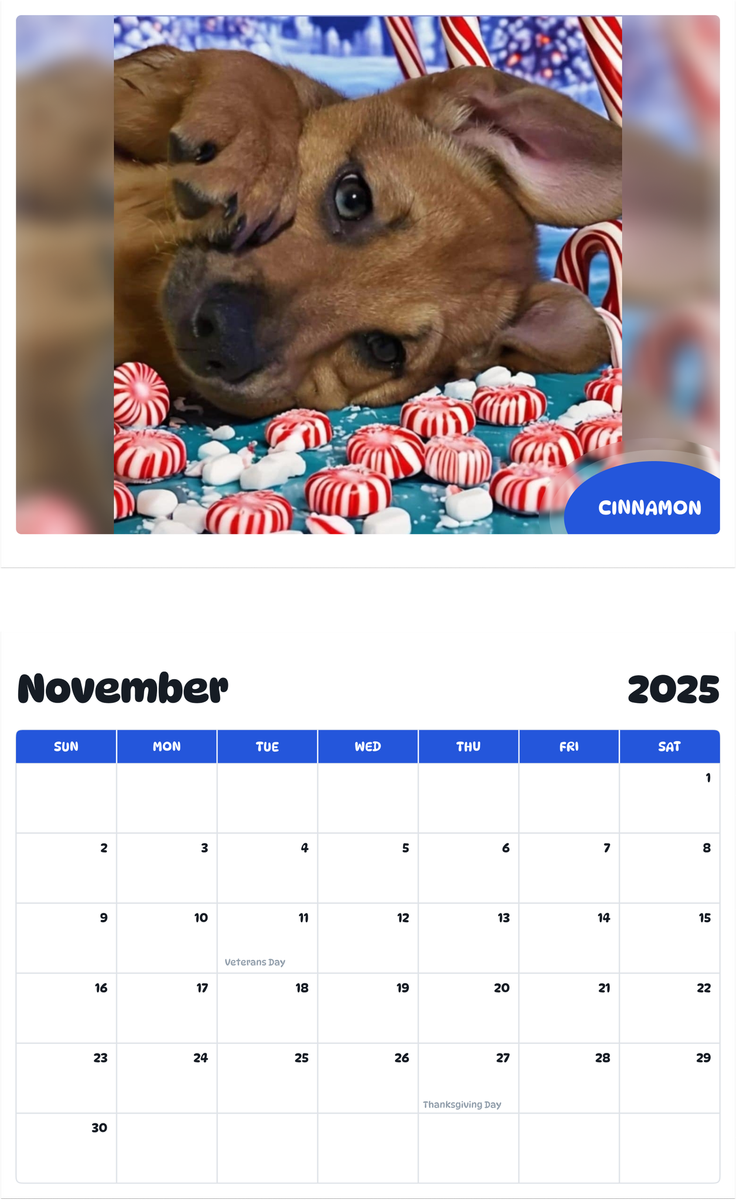 July 2025 - June 2026 Cinnamon - Pawidols Pet Calendar