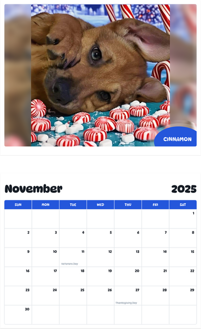 July 2025 - June 2026 Cinnamon - Pawidols Pet Calendar