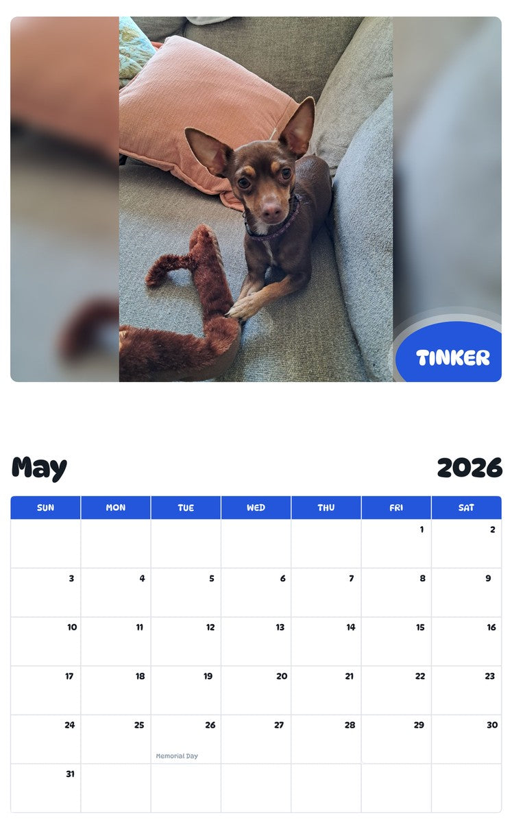 2026 - 2027 TINKER - Pawidols Pet Calendar