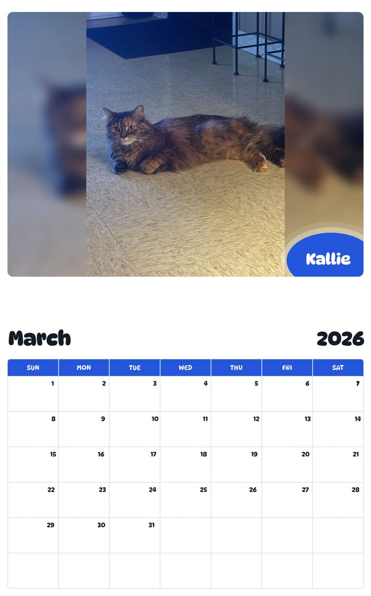 November 2025 - October 2026 Kallie - Pawidols Pet Calendar