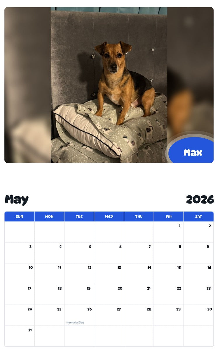 2026 - 2027 Max - Pawidols Pet Calendar