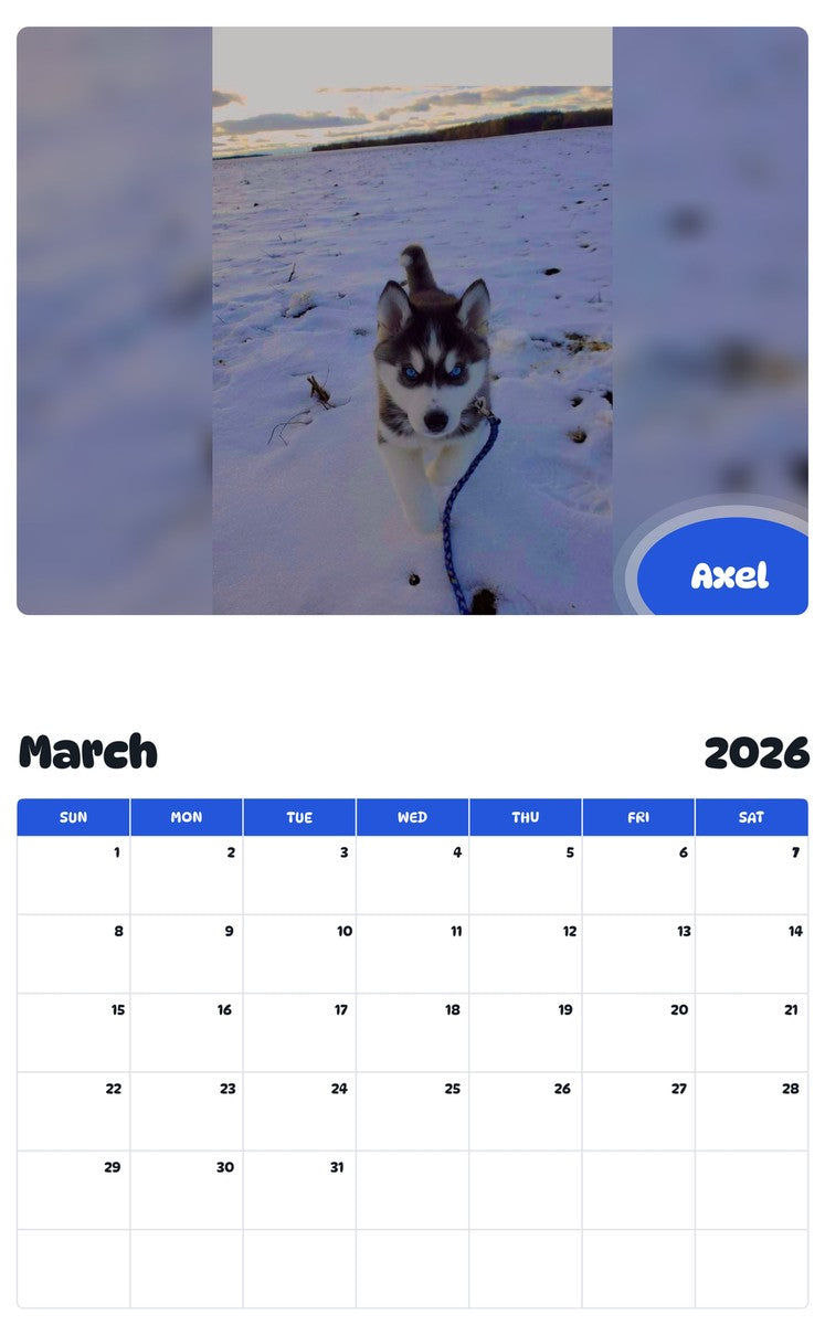 November 2025 - October 2026 Axel - Pawidols Pet Calendar
