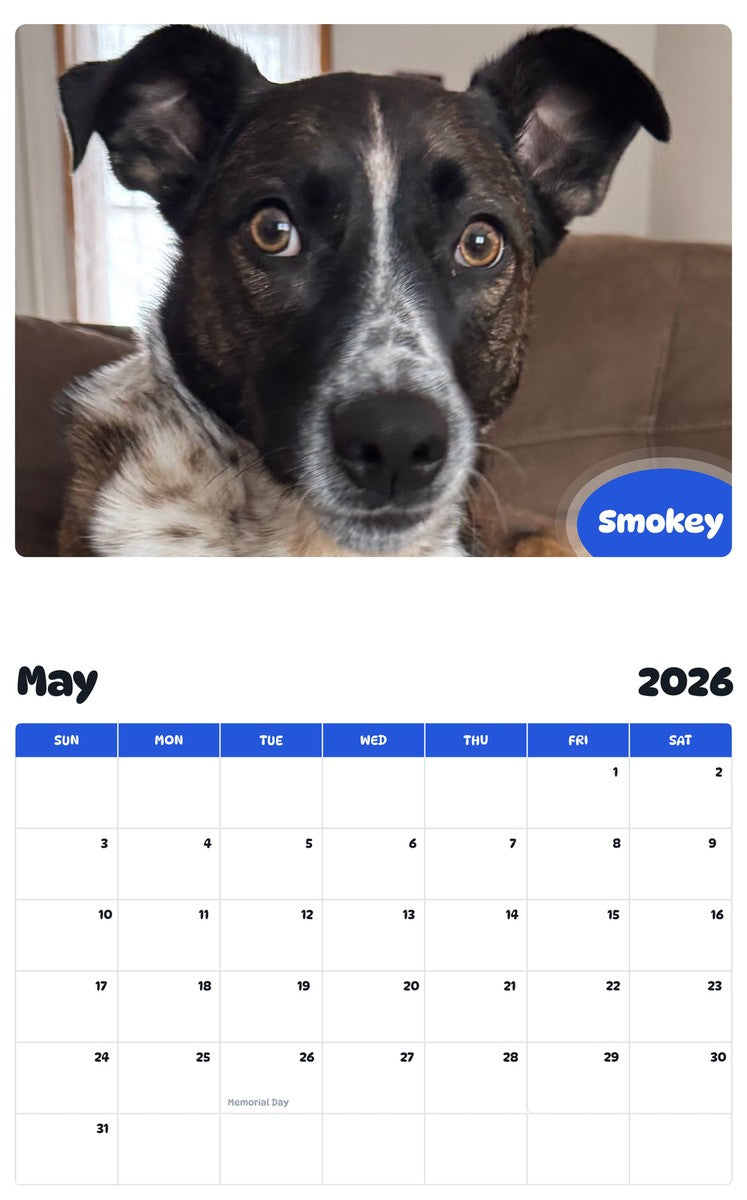 2026 - 2027 Smokey - Pawidols Pet Calendar