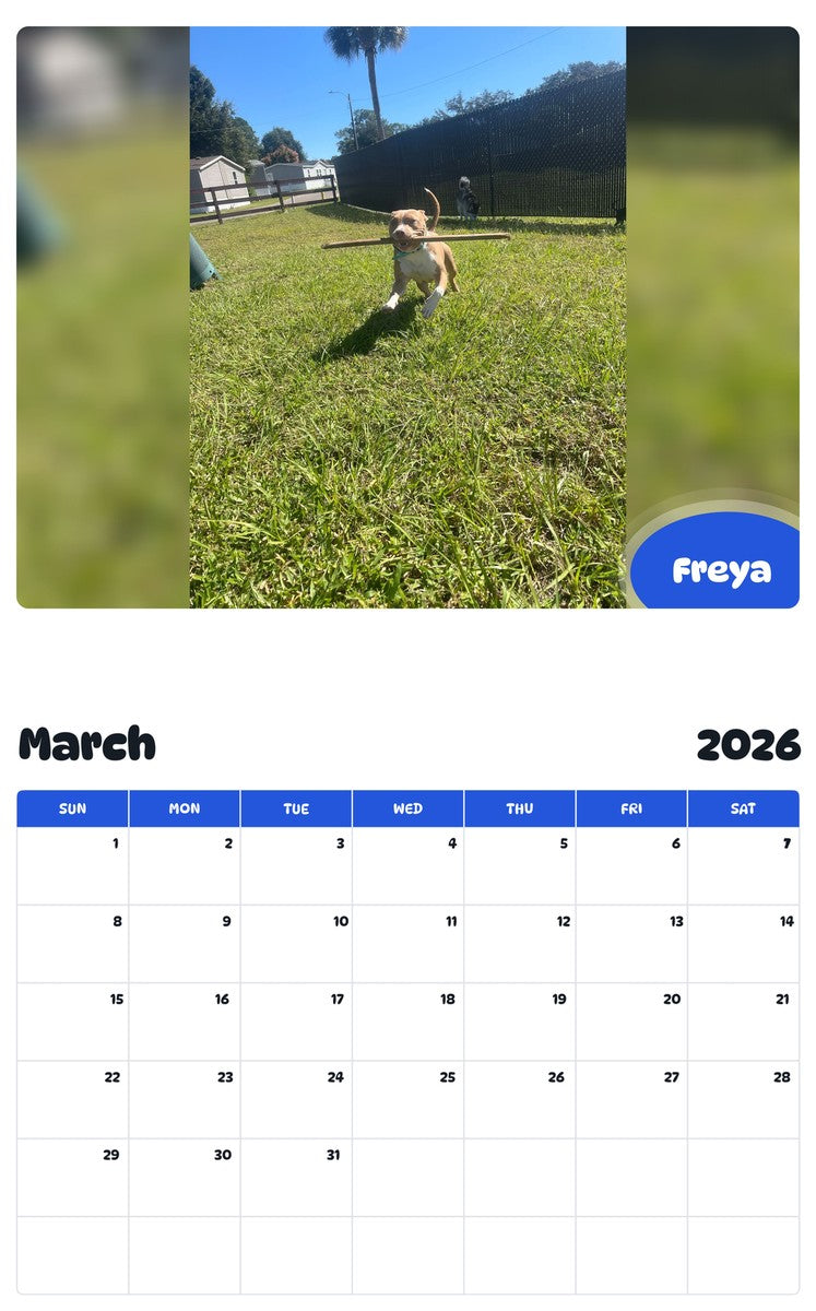 November 2025 - October 2026 Freya - Pawidols Pet Calendar