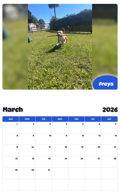 November 2025 - October 2026 Freya - Pawidols Pet Calendar