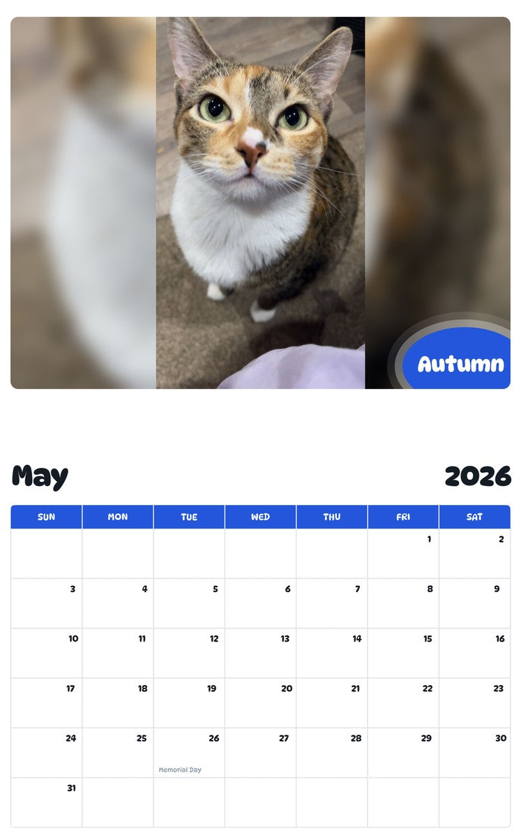 2026 - 2027 Autumn - Pawidols Pet Calendar