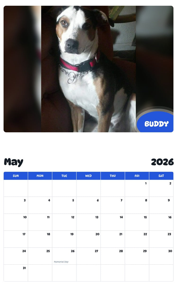 2026 - 2027 BUDDY - Pawidols Pet Calendar