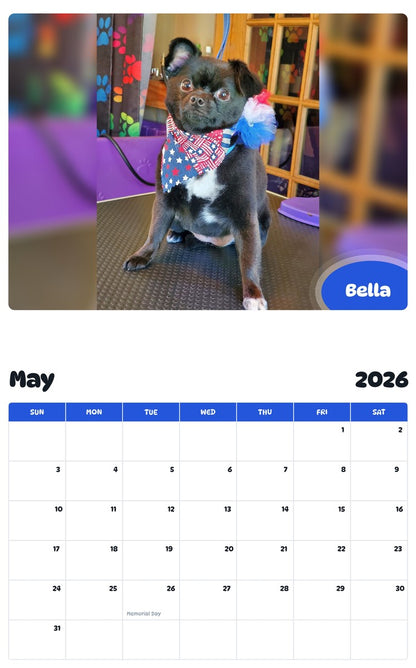 2026 - 2027 Bella - Pawidols Pet Calendar