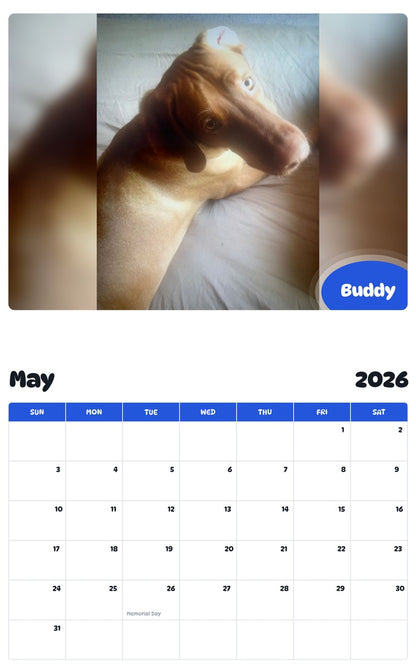 2026 - 2027 Buddy - Pawidols Pet Calendar