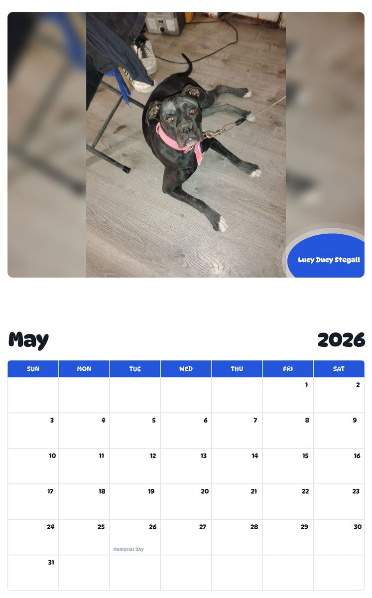 2026 - 2027 Lucy Ducy Stegall - Pawidols Pet Calendar
