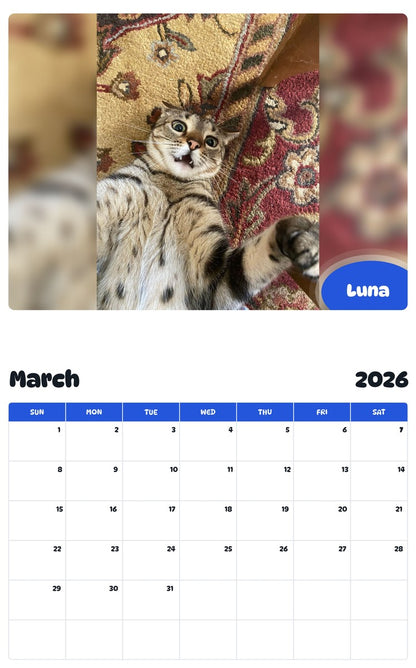 November 2025 - October 2026 Luna - Pawidols Pet Calendar