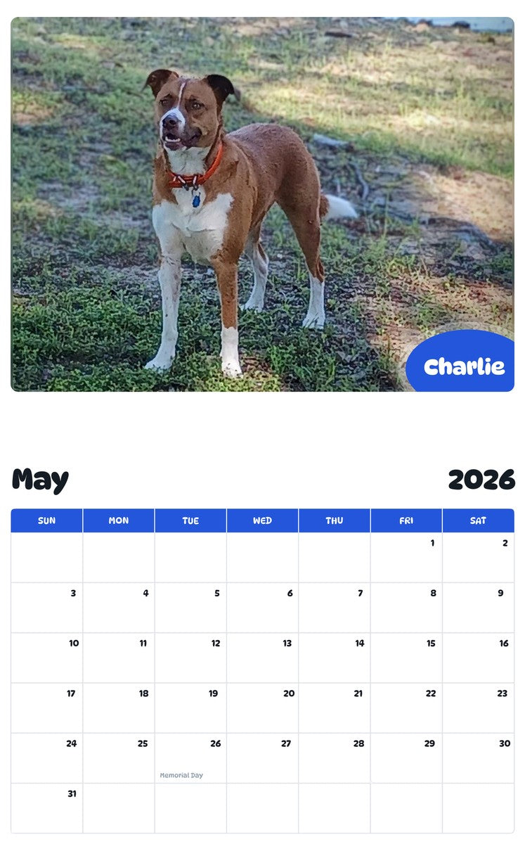 2026 - 2027 Charlie - Pawidols Pet Calendar