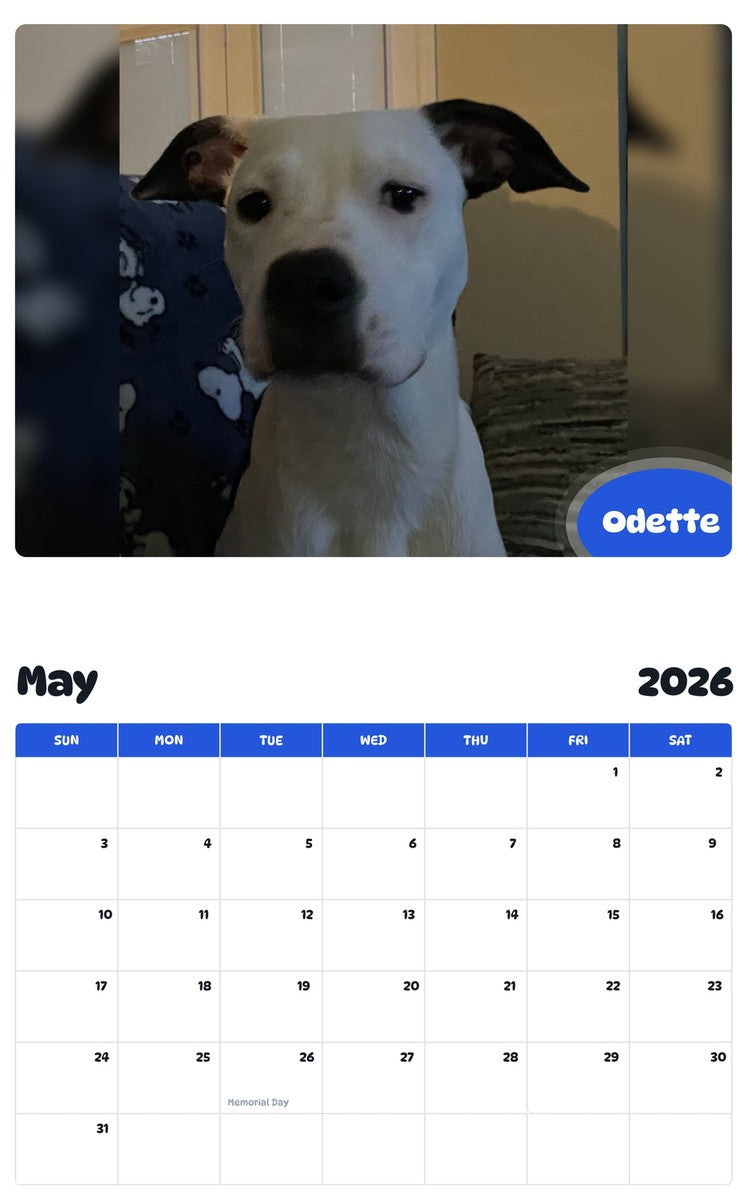 2026 - 2027 Odette - Pawidols Pet Calendar
