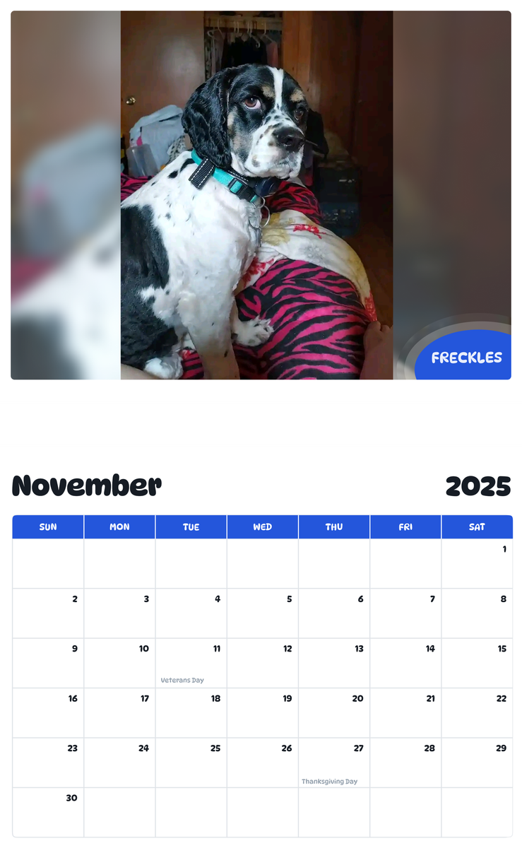 July 2025 - June 2026 Freckles - Pawidols Pet Calendar